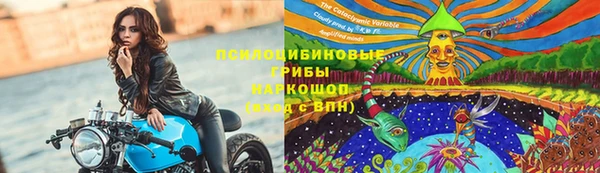 ешки Михайловка