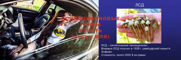 ECSTASY Долгопрудный