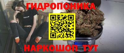 сатива Гусиноозёрск