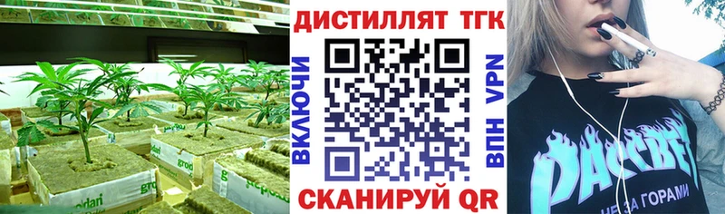 цена   hydra ссылка  Дистиллят ТГК THC oil  Подольск 