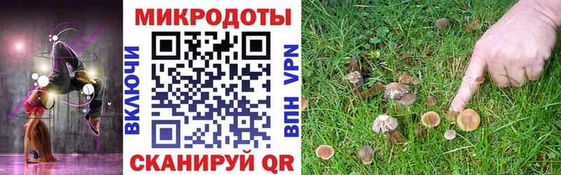 blacksprut ссылки  дарнет шоп  Подольск  Псилоцибиновые грибы GOLDEN TEACHER 