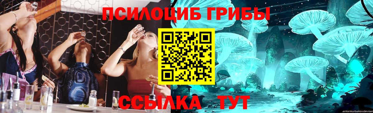 купить   Вход с VPN  Подольск  Псилоцибиновые грибы мухоморы  Галлюциногенные грибы Cubensis 