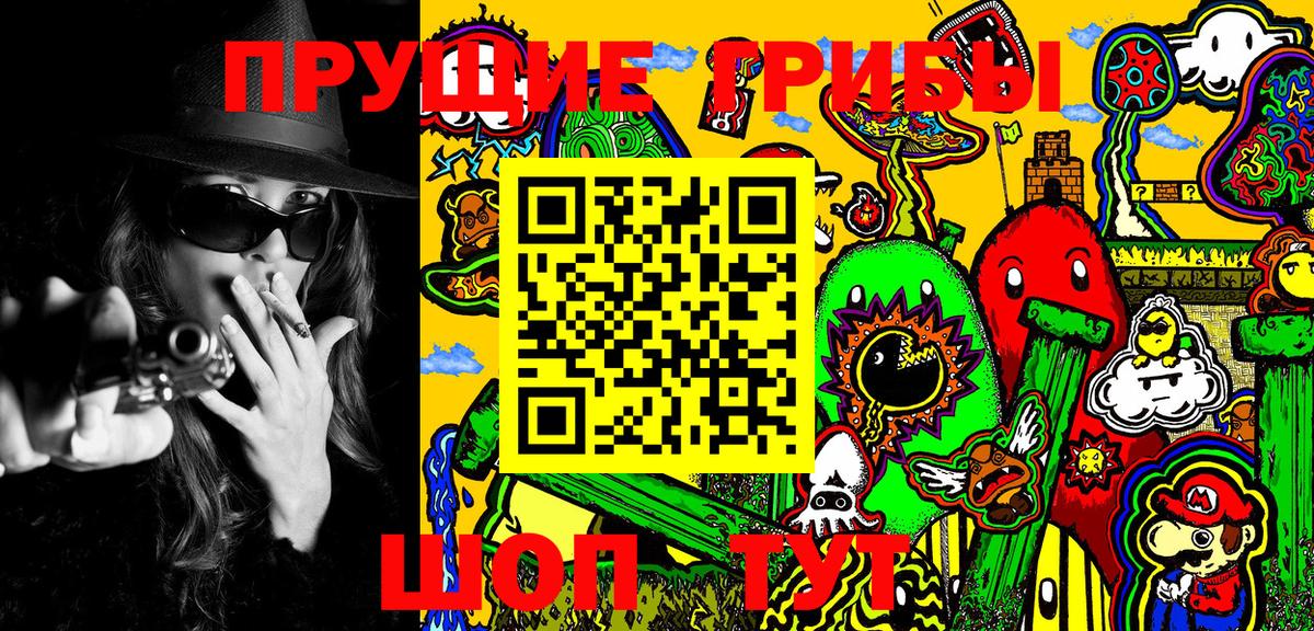 Галлюциногенные грибы Cubensis Подольск