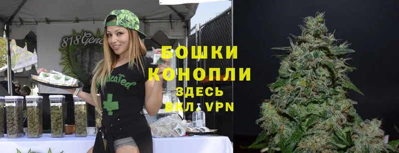 Марихуана THC 21%  Подольск 